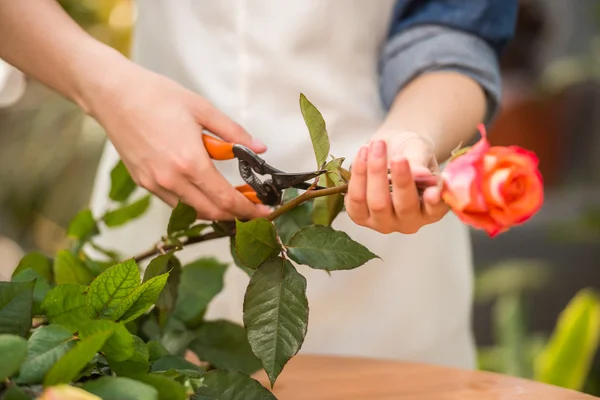 Blomsterhandlare — Stockfoto