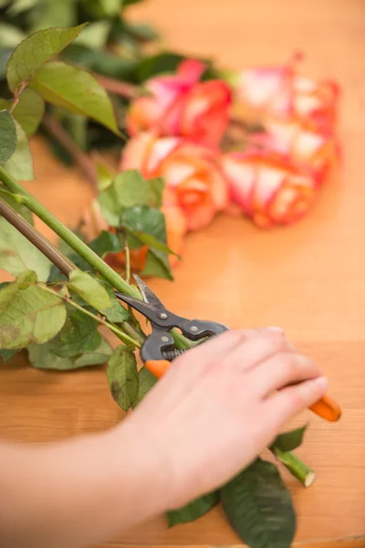 Florist — Stock Photo, Image