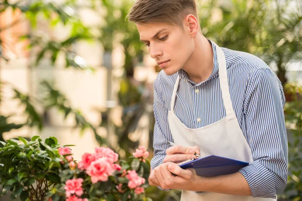 Florist — Stock Photo, Image