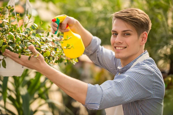 Bloemist — Stockfoto