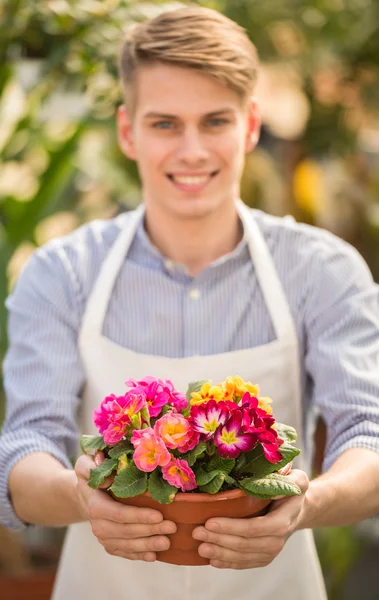 Florist — Stock Photo, Image