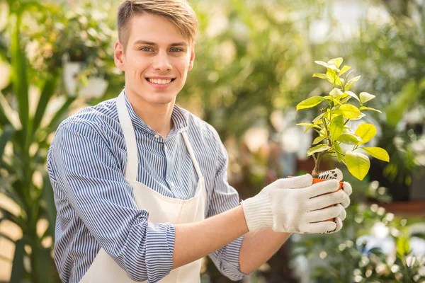 Blomsterhandlare — Stockfoto