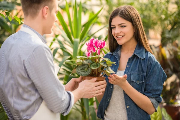 Blomsterhandlare — Stockfoto