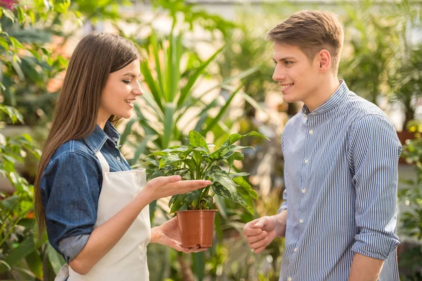 Blomsterhandlare — Stockfoto