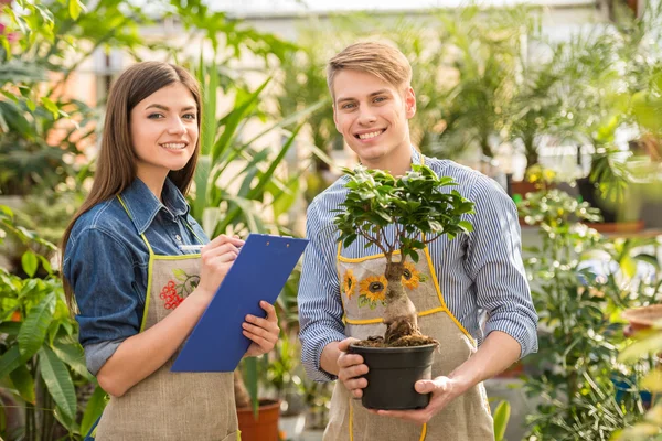 Blomsterhandlare — Stockfoto