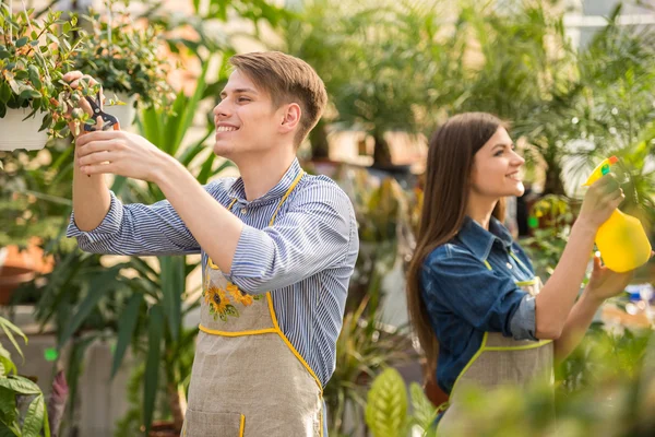 Blomsterhandlare — Stockfoto