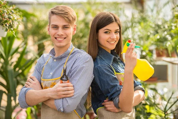 Blomsterhandler – stockfoto