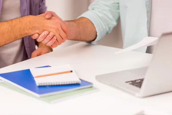 Attractive businessmen co-working — Stockfoto