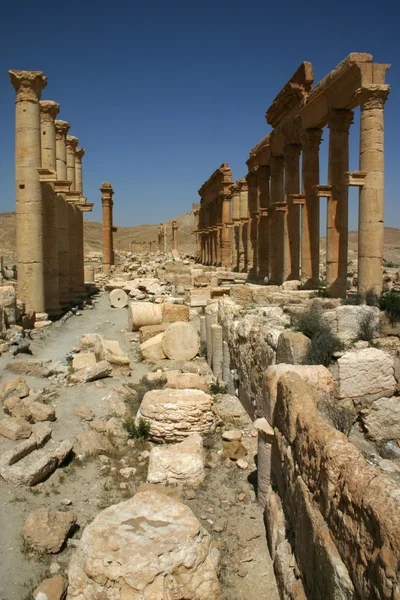 Ruinen von Palmyra — Stockfoto