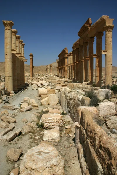 Palmyra kalıntıları