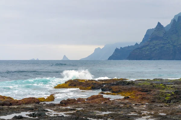 Coast of Punta del Hidalgo. Tenerife — Stock Photo, Image