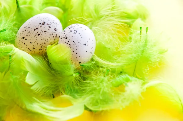 Dekoration für die Osterfeiertage — Stockfoto