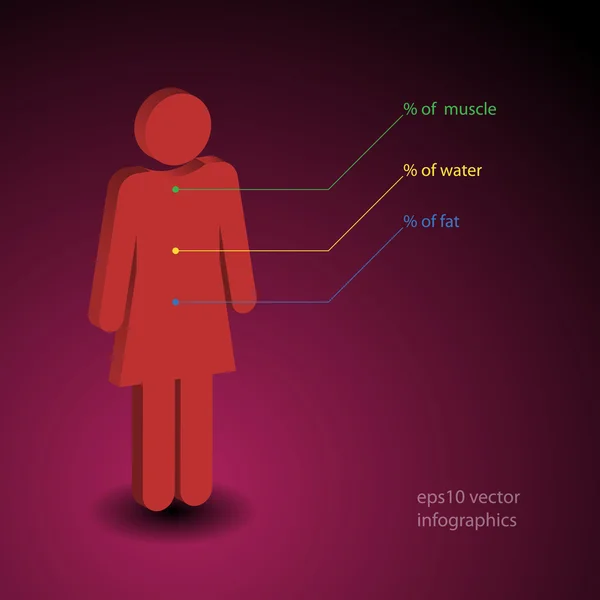 Einfache Infografik über den Anteil von Muskeln, Wasser und Fett im menschlichen Körper — Stockillustration Frau Infografik Illustration — Stockvektor