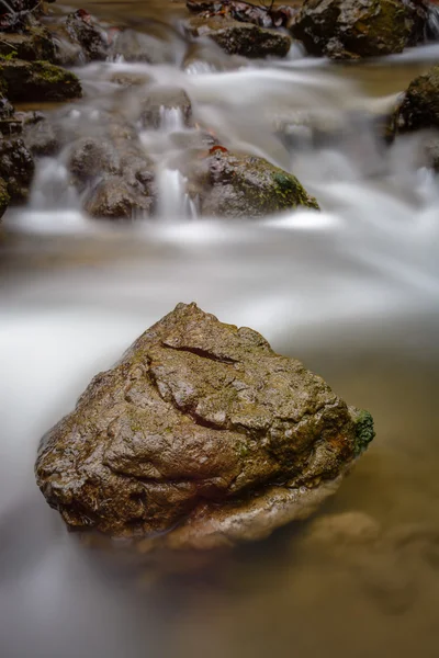 Detalhe de pedra em riacho — Fotografia de Stock