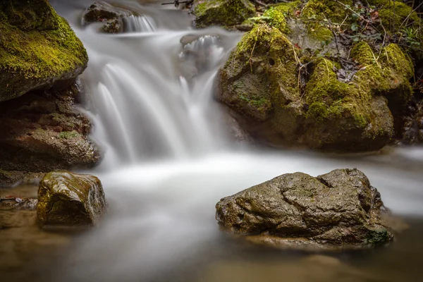 Detail of stone in brook — Stock Photo, Image