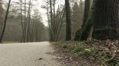 Hüzünlü gün Milli Parkı Maninska Tiesnava, Slovakya
