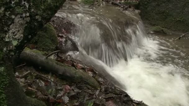 Detail of waterfall in brook — Stock Video