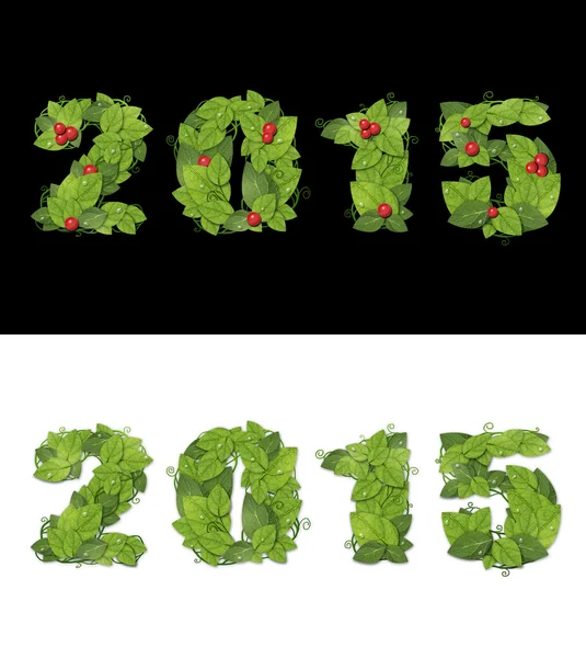 New Year 2015 is lined with green leaves.  Isolated — Stock Photo, Image