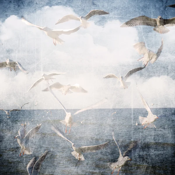 Abstrato grunge fundo com nuvens e gaivota . — Fotografia de Stock