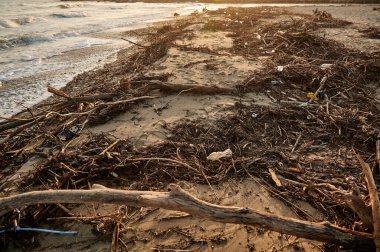 Günbatımında Karadeniz kıyısında çöp ve sopalar. Çevresel sorunlar yakın planda.