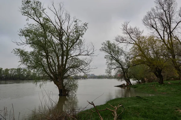 River Bank Growing Trees Water View Bank Garbage Horizontal Photo — Stockfoto