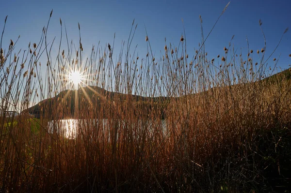 the sun shines from behind the mountains through the dry pampas grass. lake view in the evening horizontal photo