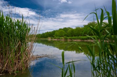 Mavi gökyüzüne karşı beyaz bulutlar içinde küçük göl yeşil ağaçlarda yatay fotoğraf