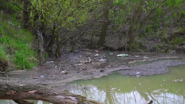 4k wideo na brzegu i w zbiorniku śmieci, plastikowe i złamane gałęzie — Wideo stockowe