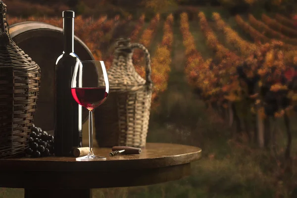 Bodegón con vino tinto en el fondo del viñedo — Foto de Stock