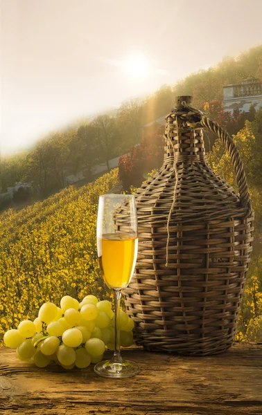 Белое вино на фоне виноградника — стоковое фото