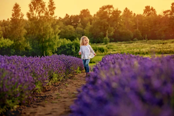 Cute baby girl in a lavender field — Stock Photo, Image