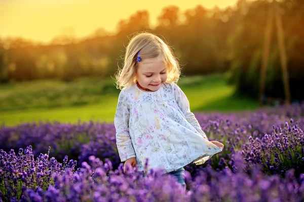 Menina bonito em um campo de lavanda — Fotografia de Stock