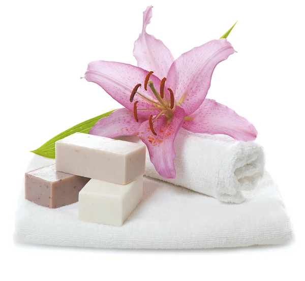 Herbal spa soap — Stock Photo, Image