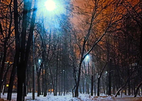 Street lamps in winter city park — Stock Photo, Image