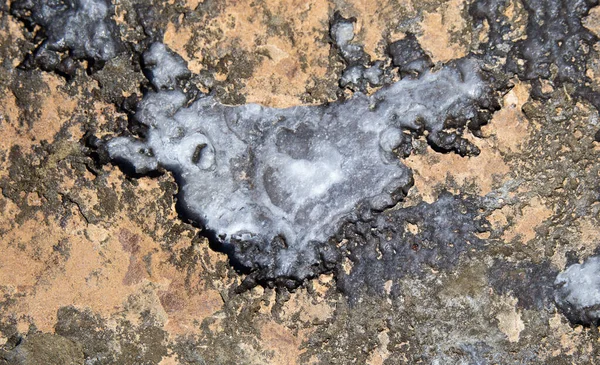 Fondos Textura Orilla Del Mar Depósitos Piedra Inundados Agua Los —  Fotos de Stock