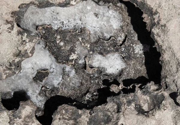 Fondos Textura Orilla Del Mar Depósitos Piedra Inundados Agua Los —  Fotos de Stock