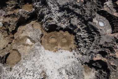 Deniz kıyısı, deniz suyu formunda tuz desenleri ve deniz lagünlerinin oluşumuyla güneşin gölgeleriyle birlikte suyun altında dokular ve taş soyutlamalarıyla doludur.