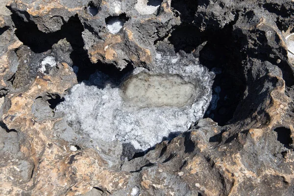 Costa Marina Sotto Forma Sedimenti Fondo Inondati Acqua Mare Con — Foto Stock