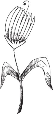 Doodle kroki çiçek