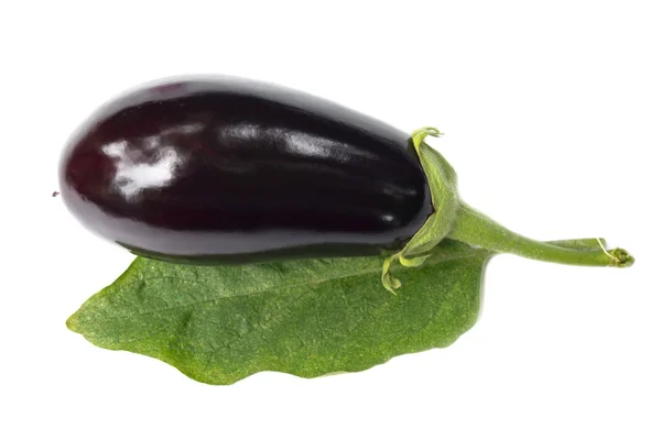 Melanzane — Foto Stock