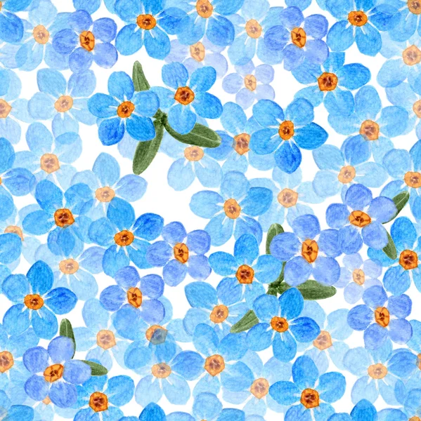 Çiçek unutma çiçek seamless modeli, suluboya resim — Stok fotoğraf