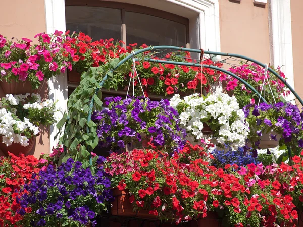 Квіткові балкони типові будинки — стокове фото