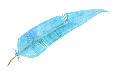 mavi tüy, suluboya resim çizme