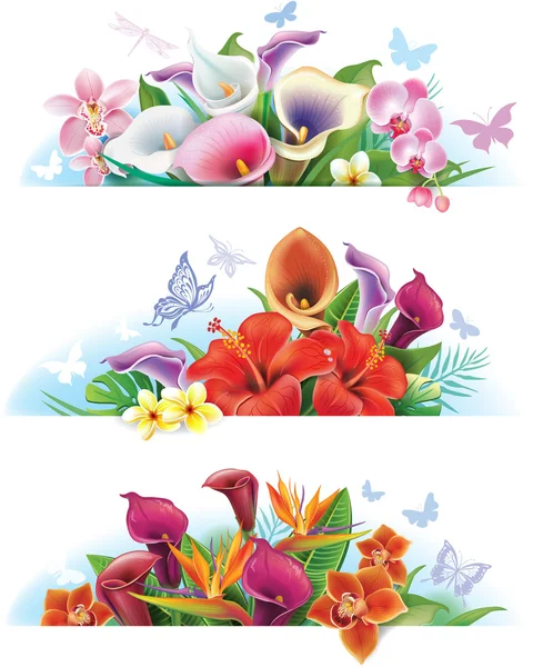 Set bannières avec des fleurs — Image vectorielle