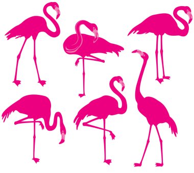 Flamingolar silüeti vektör kümesi