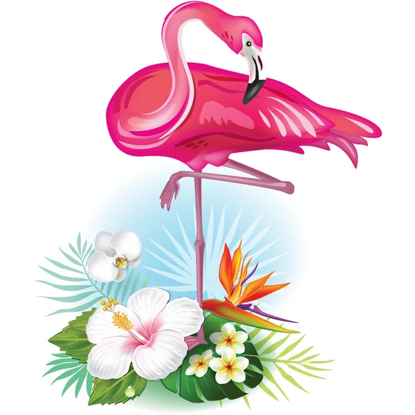 Arrangement from tropical flowers and Flamingo — Stock Vector