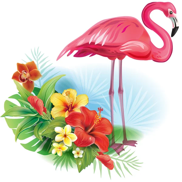 Arrangement from tropical flowers and Flamingo — Stock Vector