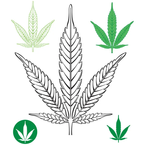 Esboço da folha de cannabis — Vetor de Stock