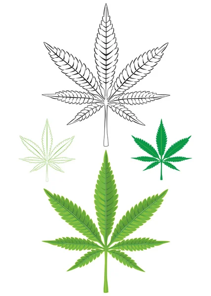Cannabis Folha de maconha — Vetor de Stock