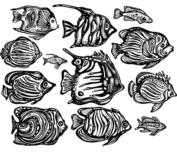 Ensemble Vectoriel Poissons Décoratifs Décoratifs Caractère Stylisé Poisson Style Gravure — Image vectorielle